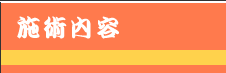 施術内容